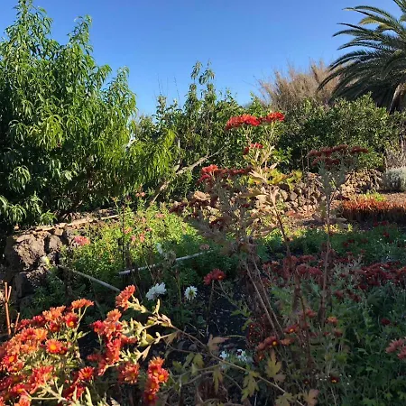 Semesterbostad El Pajero De Erese