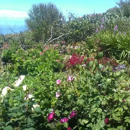 El Pajero De Dom wakacyjny *