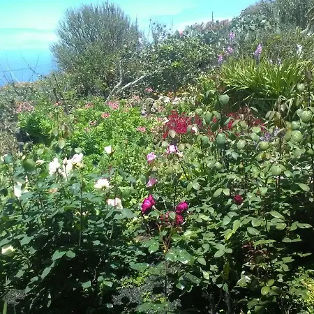 El Pajero De * Erese